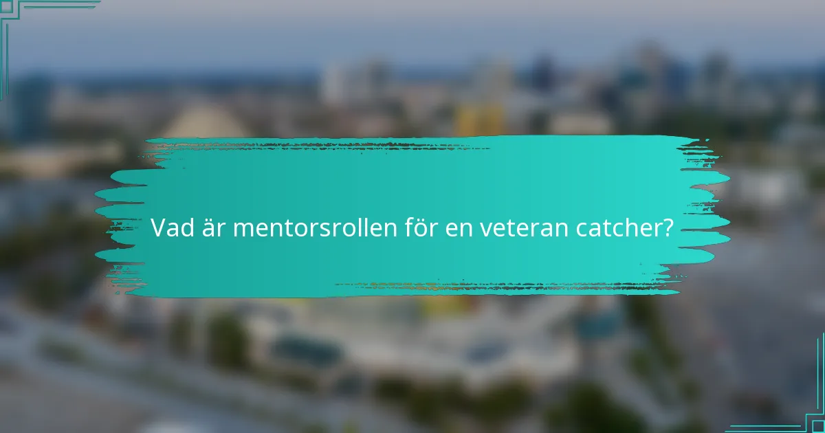 Vad är mentorsrollen för en veteran catcher?