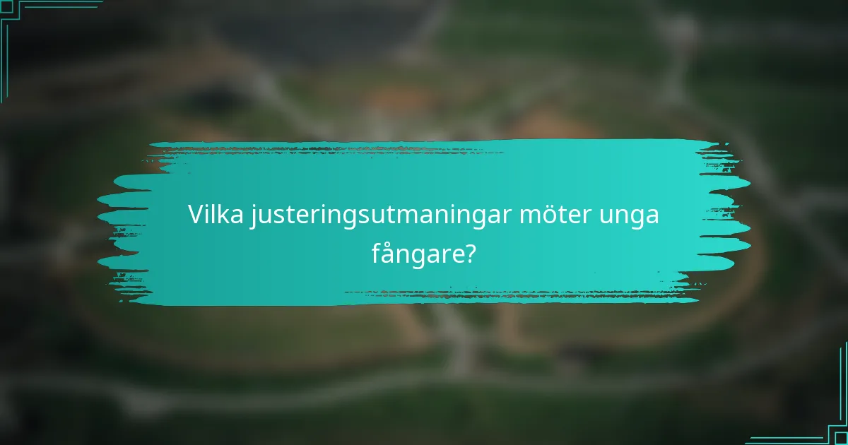 Vilka justeringsutmaningar möter unga fångare?